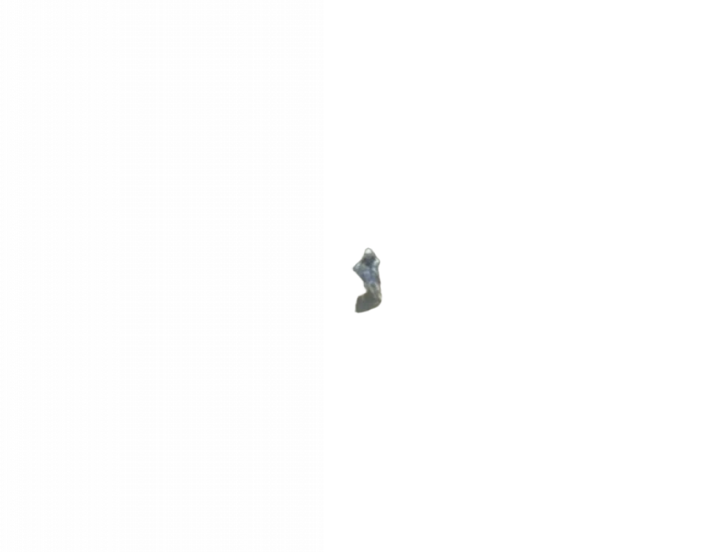 110608-00117 110608-00117