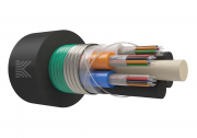КОС-ОКГ-24(6х4)ОМ1(62.5/125)-нг(А)-HF-Д 2.7кН КОС-ОКГ-24(6х4)ОМ1(62.5/125)-нг(А)-HF-Д 2.7кН